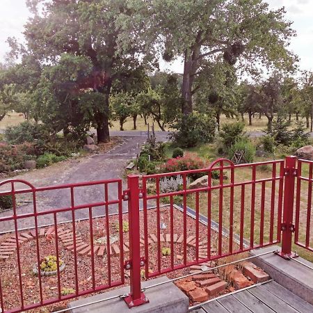 Ziegeleihof Inmitten Von Wiesen Und Waeldern Degenershausen Esterno foto