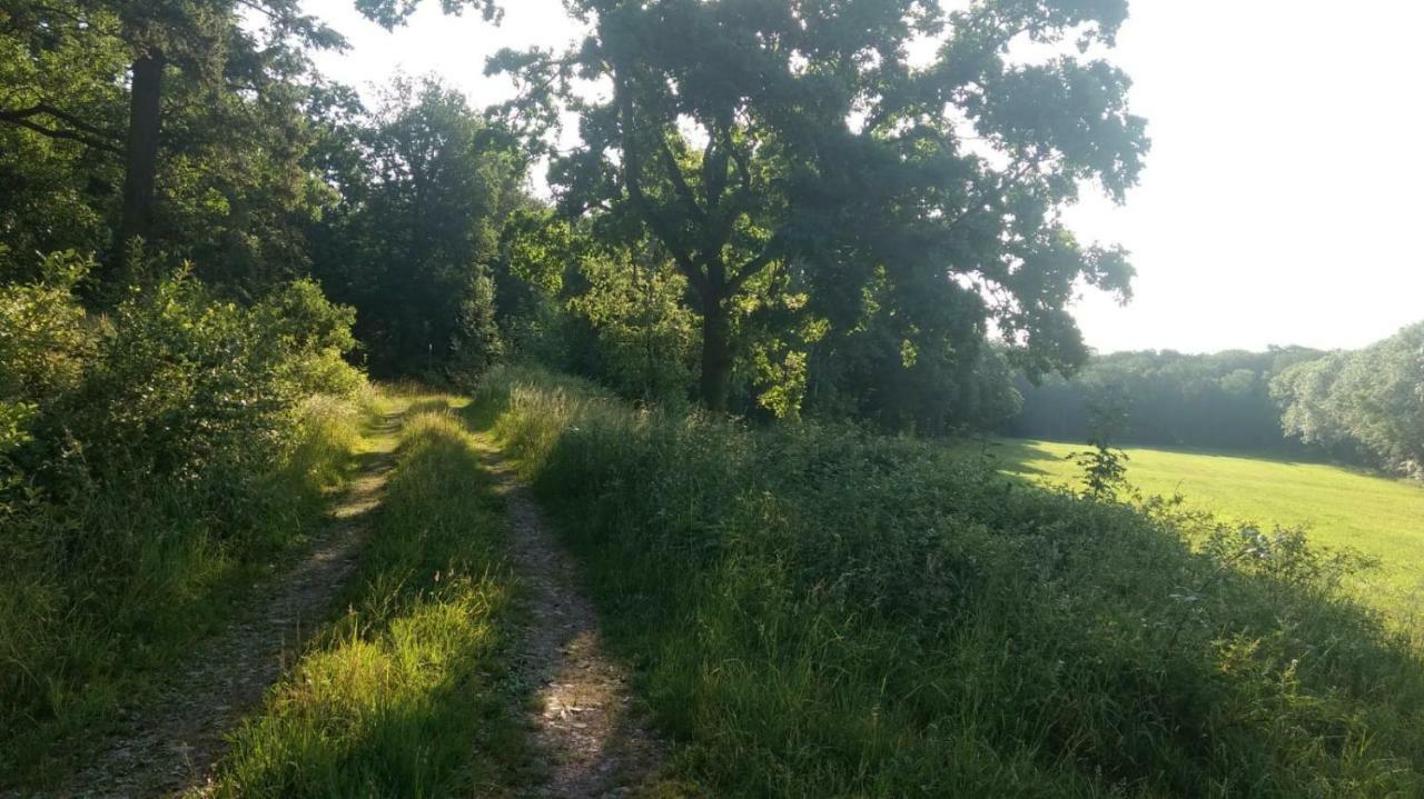 Ziegeleihof Inmitten Von Wiesen Und Waeldern Degenershausen Esterno foto